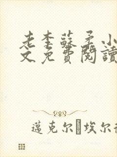 老李苏柔小说全文免费阅读