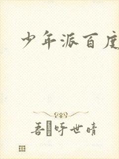 少年派百度百科