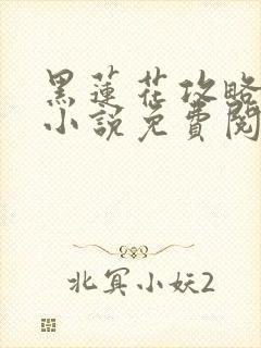 黑莲花攻略手册小说免费阅读全文