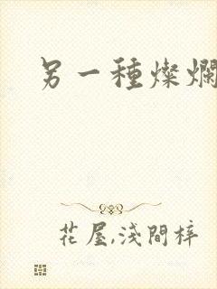 另一种灿烂生活