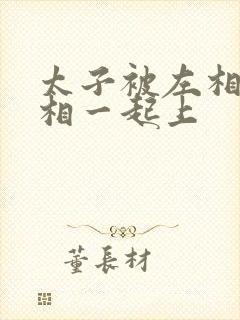 太子被左相和右相一起上