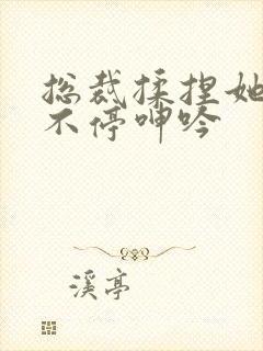 总裁揉捏她两乳不停呻吟