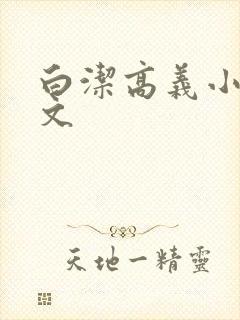 白洁高义小说全文