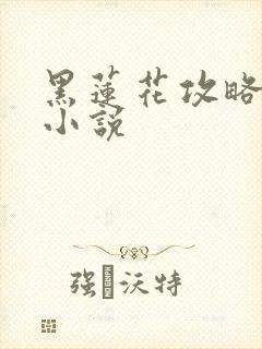 黑莲花攻略手册小说