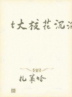 t大校花沉沦