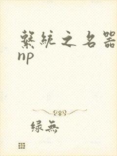 系统之名器攻略np