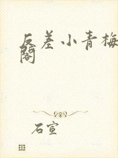 反差小青梅笔趣阁