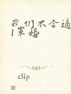 我们不合适1v1军婚