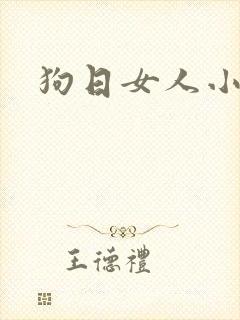 狗日女人小说