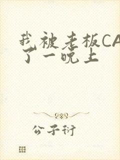 我被老板CAO了一晚上