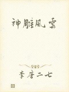 神雕风云