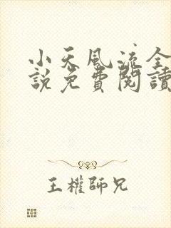 小天风流全集小说免费阅读
