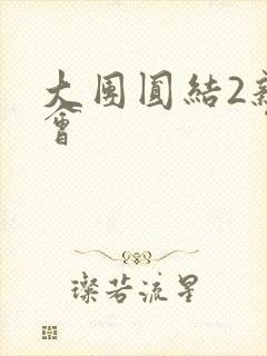 大团圆结2亲情会