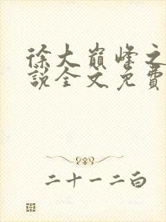 徐大巅峰之路小说全文免费阅读