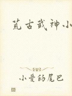 荒古武神小说