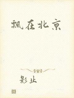 飘在北京