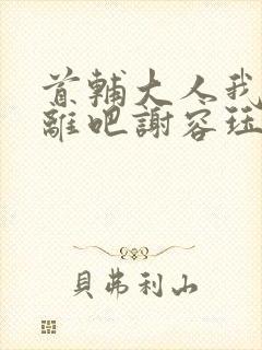 首辅大人我们和离吧谢容珏