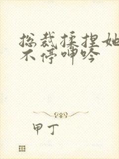 总裁揉捏她两乳不停呻吟