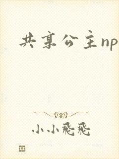 共享公主npc