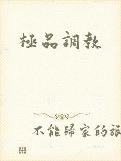 极品调教