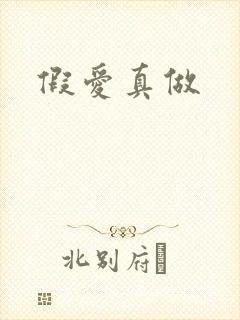 假爱真做
