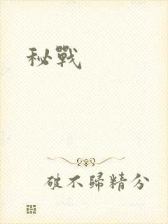 秘战