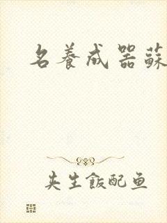 名养成器苏沫沫