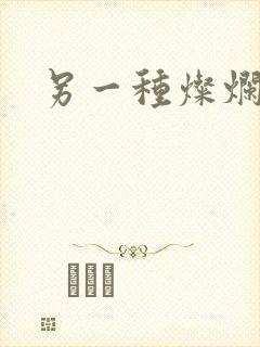 另一种灿烂生活