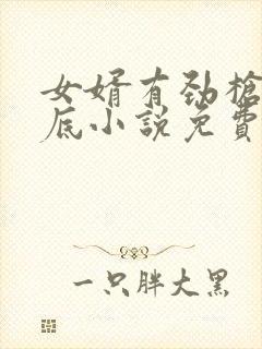 女婿有劲枪枪到底小说免费看