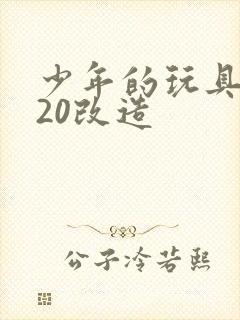 少年的玩具1一20改造