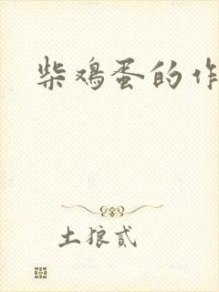 柴鸡蛋的作品