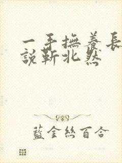 一手抚养长大小说靳北然