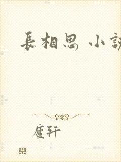 长相思 小说