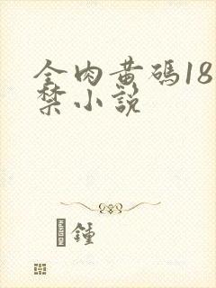 全肉黄码18无禁小说