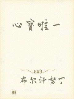 心宝唯一