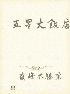 五星大饭店小说