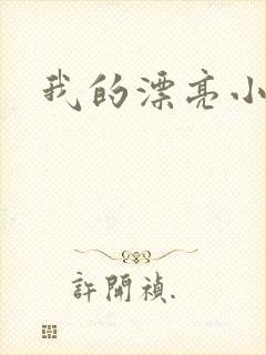 我的漂亮小后妈