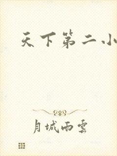 天下第二小说
