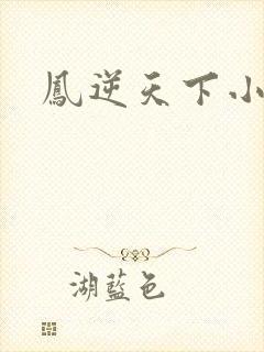 凤逆天下小说