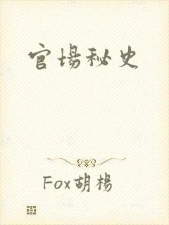官场秘史