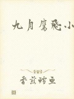 九月鹰飞小说