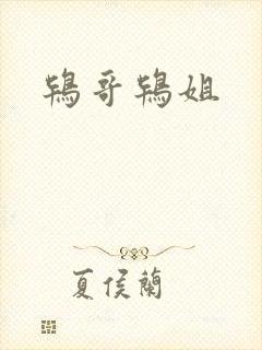 鸨哥鸨姐