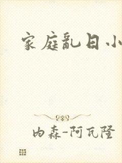 家庭乱日小说