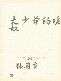 大少爷的暖床小奴