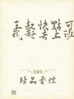 王叔快点可以吗我赶去上班