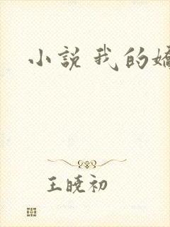 小说 我的娇妻