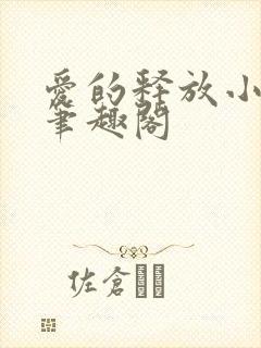 爱的释放小说 笔趣阁