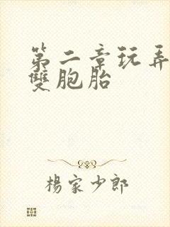 第二章玩弄少妇双胞胎