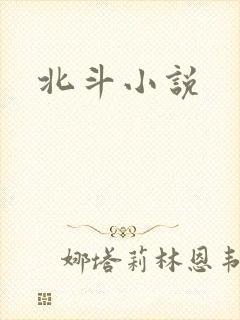 北斗小说
