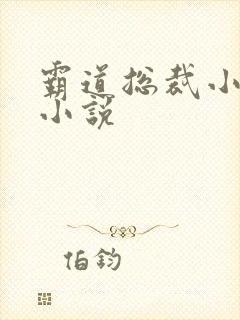 霸道总裁小娇妻小说